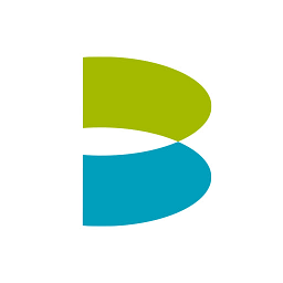 Brierley & Partners, Inc. logo