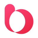 brigad.co icon