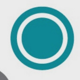 Briggs Amasco Limited logo