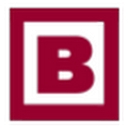 Briggs Equipment Ireland logo