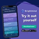 Brightmind Meditation Llc logo
