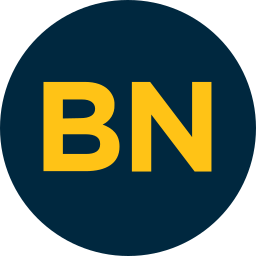 BRIGHTNIGHT MANAGEMENT logo
