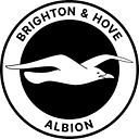 brightonandhovealbion.com logo