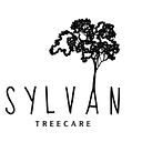 Brightontreesurgeon logo