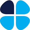 Denis Brinicombe Group Limited logo