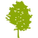 Brinkworthservices logo