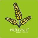 Favicon of Brinvale