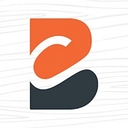 Brisson Sales logo