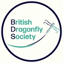 British Dragonfly Society logo
