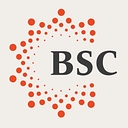 British Study Centres logo
