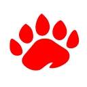 Broadfeet Motorsport Equipment logo
