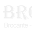 brocline-nerac.com icon
