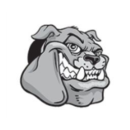 BRONXDALE HIGH SCHOOL logo