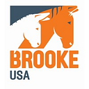BROOKE USA INC logo