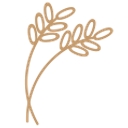 Battleground of Cascadia