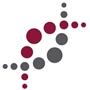 Brookhaven Instruments logo