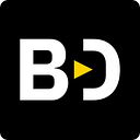 Brooklyn Data