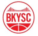 Brooklyn Youth Sports Club Inc logo