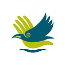 The Brook Waimarama Sanctuary Foundation logo