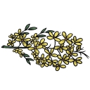Broomfield South SILC logo