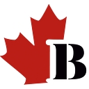 Brothers Industrial Services Ltd. logo