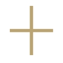 Brown and Ginger logo