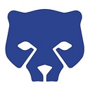 Brown Consulting Club logo
