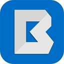 Brown Strauss Steel logo