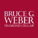 brucegweber.com logo