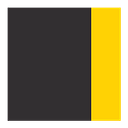 Drs Bruce & Lee Foundation logo
