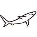 bruceshark.com logo