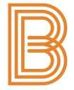 Bruin Financial logo