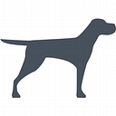 Bruji