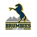 Brumbies Rugby logo