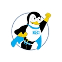 Bruni & Campisi logo