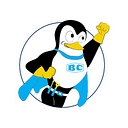 Bruni & Campisi, Inc. logo