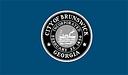 City Of Brunswick, Ga logo