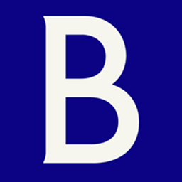 Brunswick Group LLC logo