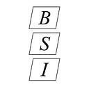 Brunswick Surveying Inc logo