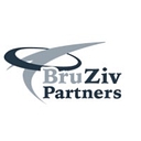 BRUZIV PARTNERS LLC