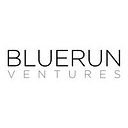 Bluerun Ventures logo