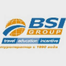 BSI Group logo