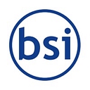 Bayside Solutions, Inc. logo