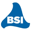 Broadcast Software International