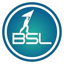 Bsl Consulting logo