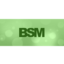 BS Micro Semiconductor