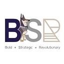 Bsr Consulting, Llc logo