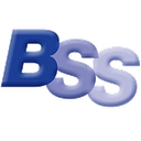 BSS & Co Accountancy Services logo