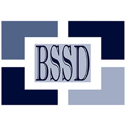 BLUE SPRINGS HIGH logo