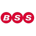 Bss Industrial logo